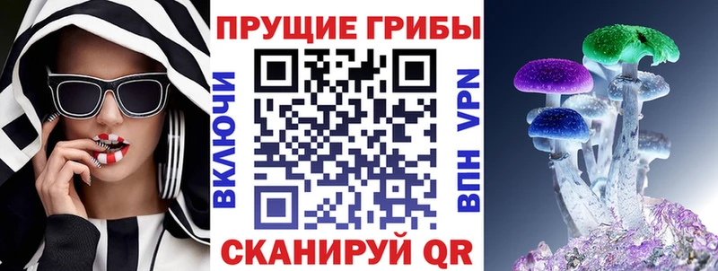 площадка какой сайт  Котово  Галлюциногенные грибы Psilocybine cubensis 